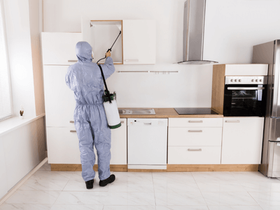 About Upalco Bed Bug Inspection - bed bug inspection experts in Upalco